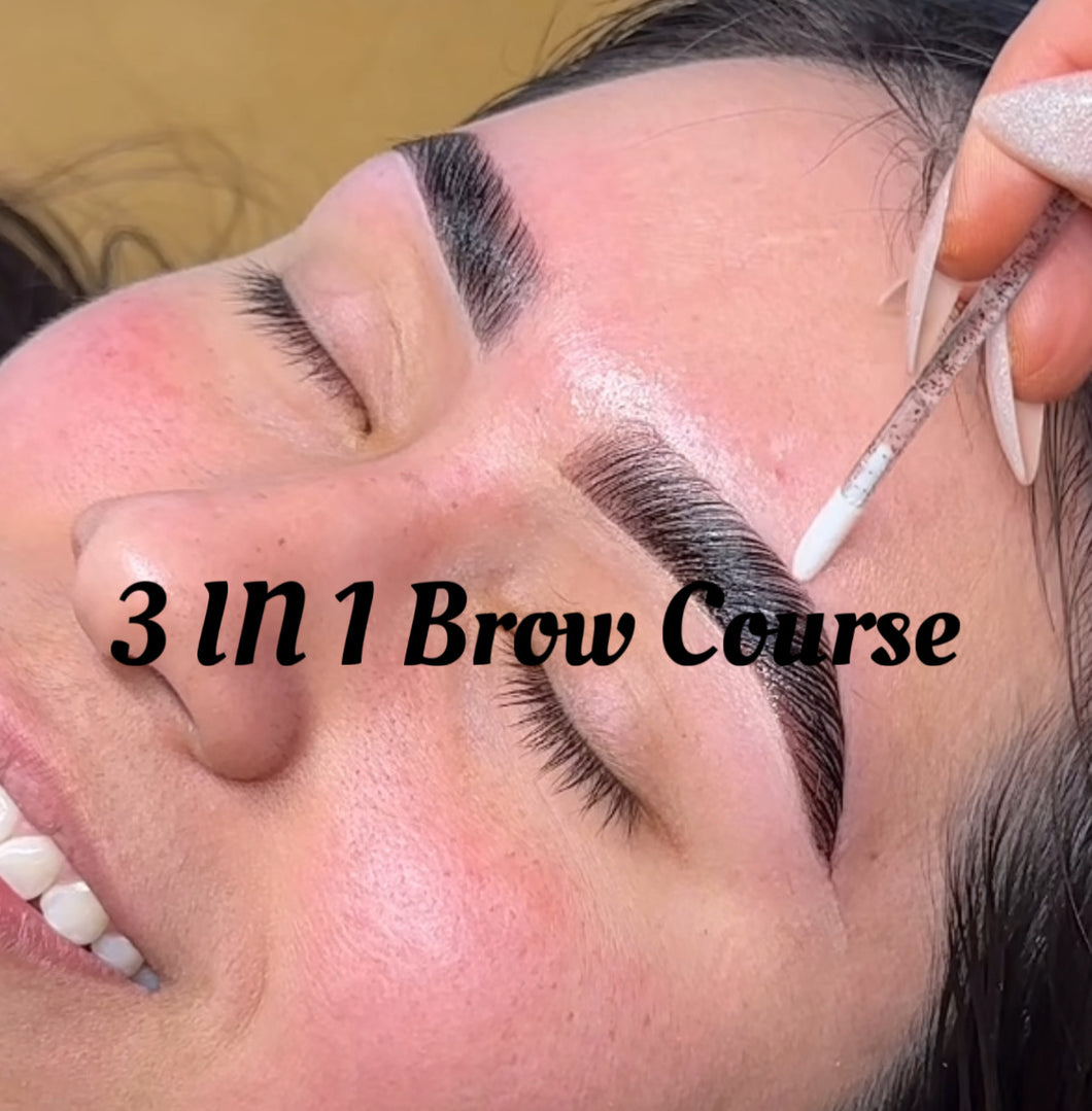 1 on 1 Luxury Brow Course