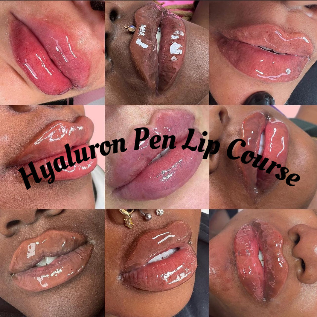 1 On 1 Lips Hyaluron Pen Course