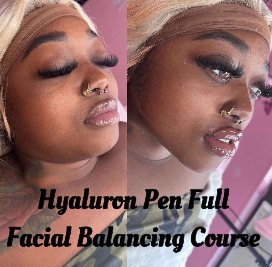 All in One 1 On 1 Full Facial Balancing + Micro + Hyaluron Pen Course