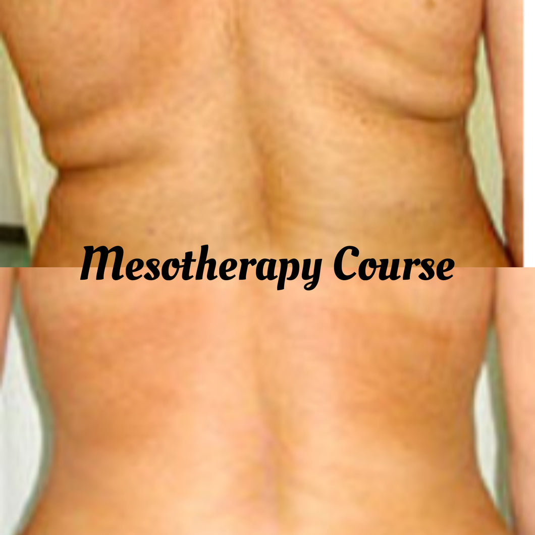 HA Meso Therapy  1 on 1 Course